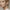 3b1c2e5e-4775-427e-9c6a-cc5751904e81-Max