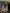 0740cb83-7312-4c87-b715-500b9ec5130c-Max-Origin