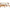 {Quality Assurance}TOPMAX Outdoor Backyard Patio Wood 5pcs Sectional Sofa Seating Group Set with Cushions Natural Finish+ Beige Cushions{Attentive Service}