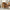 Camel Faux Leather Accent Chair with Retro Wood Legs, Comfy Upholstered Armchair with Nail Head Trim, Single Sofa Chair for Living Room or Bedroom, Soft Cushion & Wing Back Design, HULALA HOME