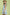 8539a80c-49e1-4e64-9a07-89bf298bd026-Max-Origin