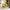 Velvet Accent Chair Barrel Chair with Metal Legs Modern Comfy Armchair Accent Reading Chair for Living Room, Bedroom, Study Room, Home Office yellow
