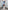 8d8879e2-2c03-47fd-a910-528428ee94a0-Max