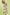 913b6423-413c-4417-832d-f9e31111a37c-Max-Origin