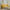 Modern Boucle Loveseat for Living Room - Mustard-Yellow Plush Upholstery, Metal Frame, No Assembly Required, Compact 27"+ Height, Contemporary Minimalist Design