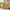 25-inch Midcentury Modern Yellow Armchair With Removable Cushion, Woven Fabric, Solid Wood Legs For Living Room Or Bedroom, Living Room Chair, Contemporary Furniture With Woven Fabric Interior