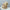 d506c66d-19dc-4c4b-8cc7-550d6020bd13-Max-Origin