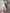 d9a3726ecbcb4a2bbdaa2e1271dfcb78-Max-Origin